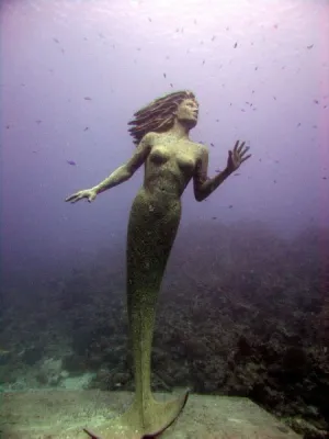  Amphitrite! This Miniature Mermaid Lives Its Life in Burrowing Adventures 